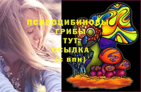 первитин Алексин