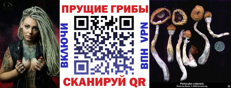 Галлюциногенные грибы MAGIC MUSHROOMS  KRAKEN онион  Сунжа 