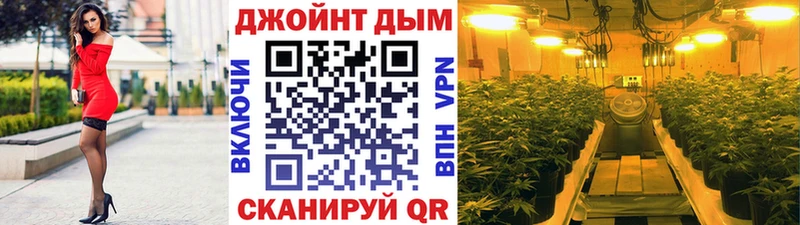 Марихуана семена  Сунжа 